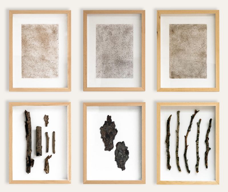 From Lake Ørnsø - a Sculpture & Installation by Francesca Virginia Coppola
